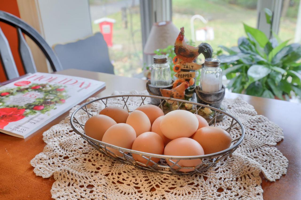 Hammer Creek Hideaway B&B Lititz Buitenkant foto